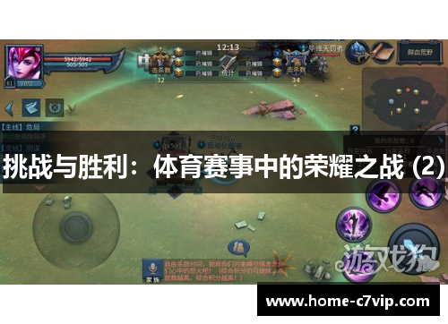 挑战与胜利：体育赛事中的荣耀之战 (2)